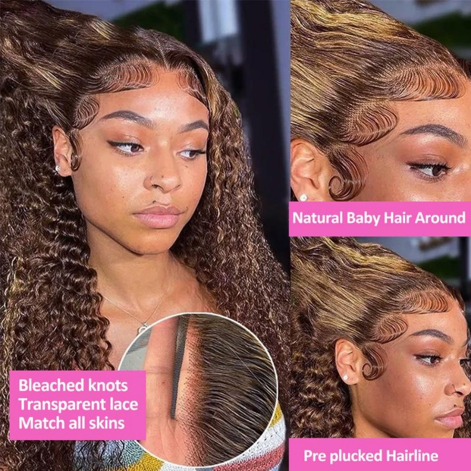 427 Highlight Ombre Wig Human  - Lace Front Wigs review and price